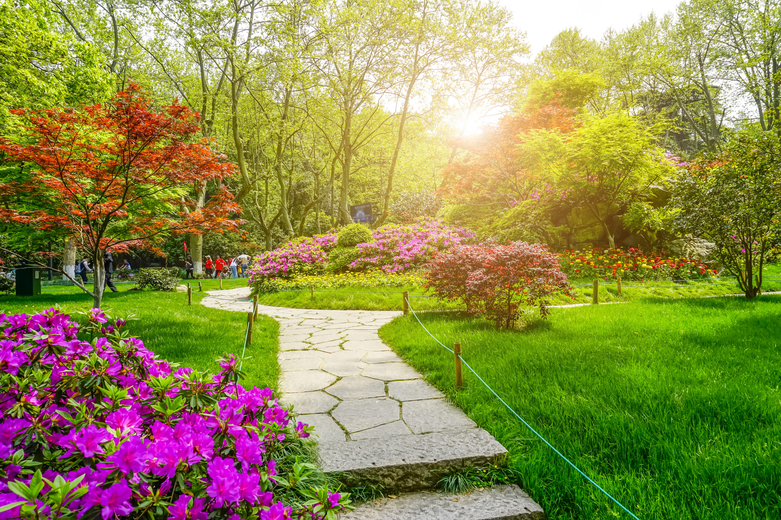 beautiful-green-park